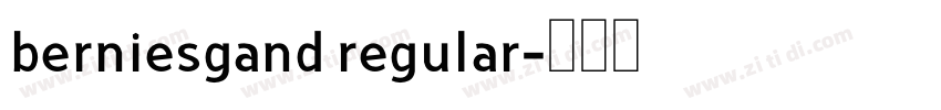 berniesgand regular字体转换